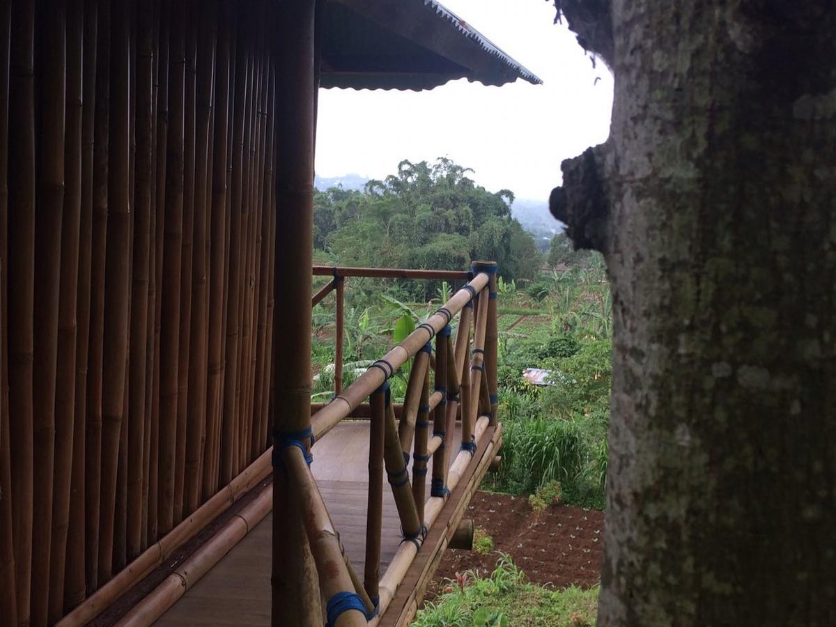 Bali Tree House Pelangi Apartamento Bedugul  Exterior foto
