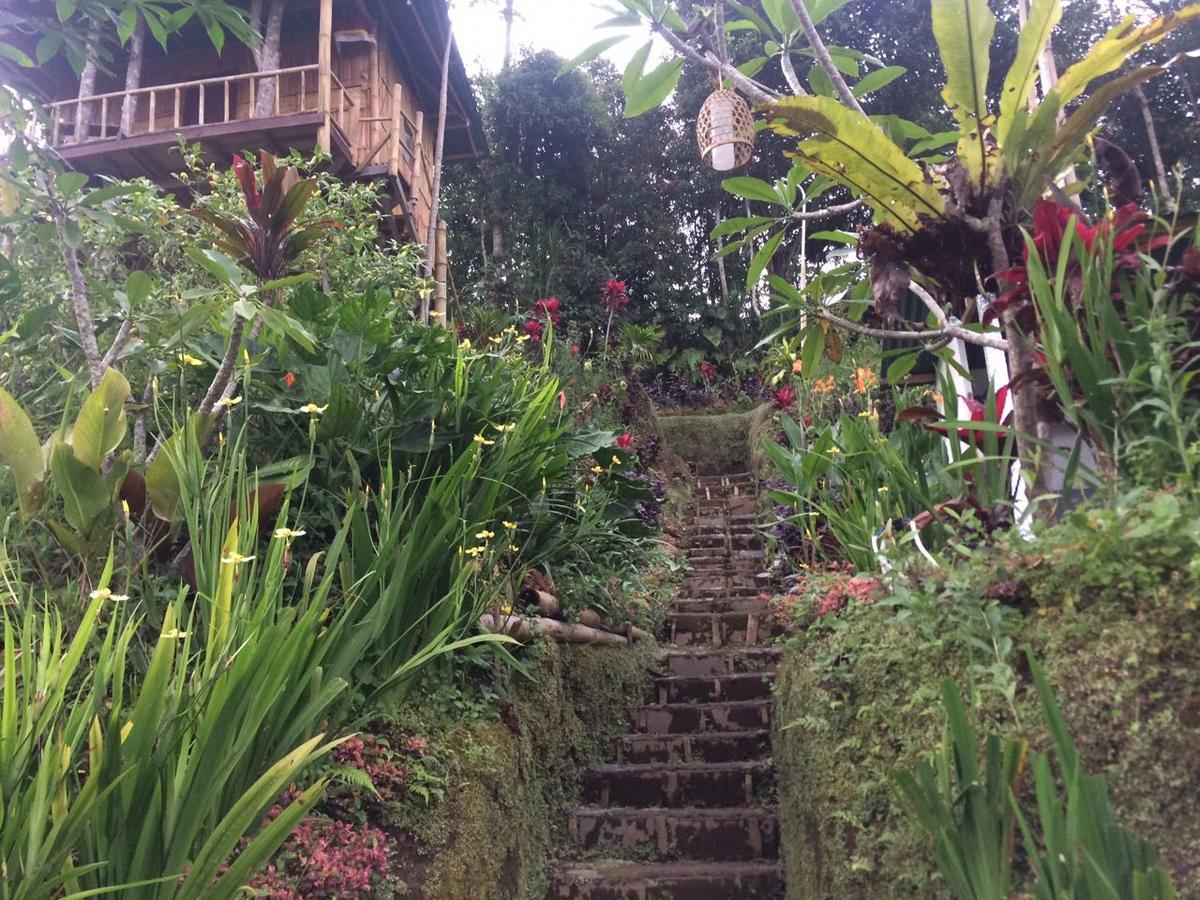 Bali Tree House Pelangi Apartamento Bedugul  Exterior foto