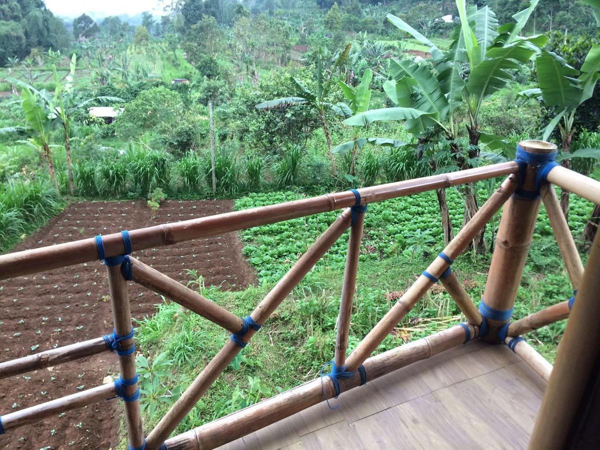 Bali Tree House Pelangi Apartamento Bedugul  Exterior foto
