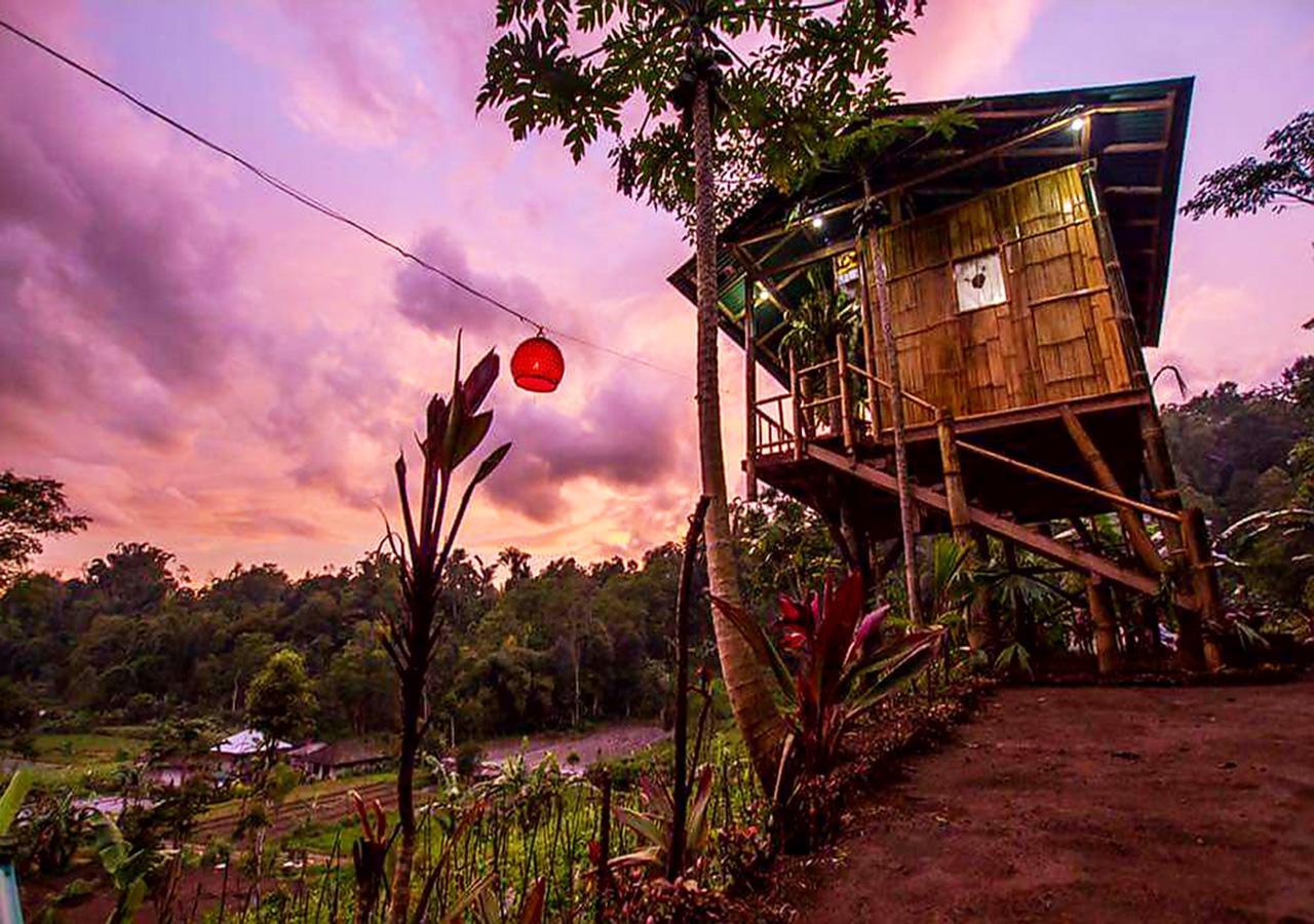 Bali Tree House Pelangi Apartamento Bedugul  Exterior foto