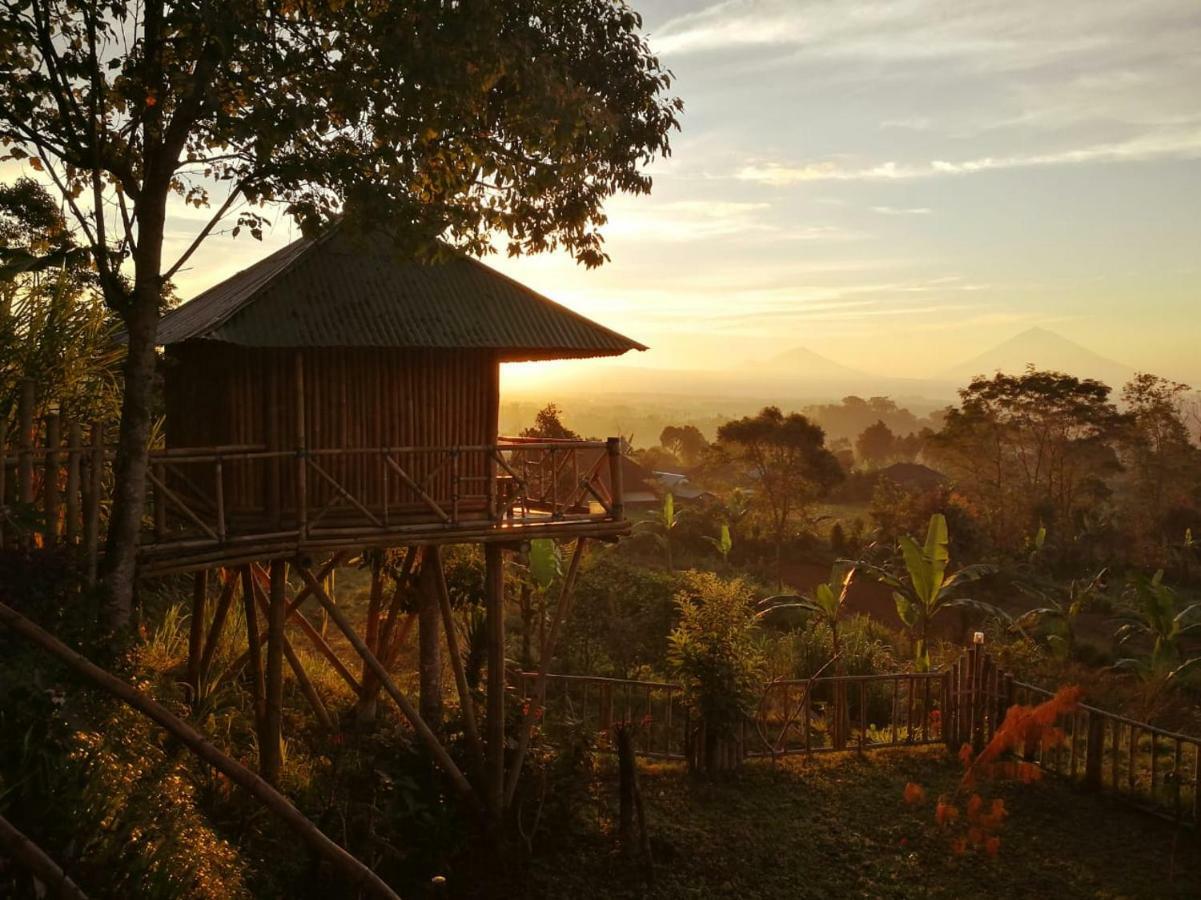 Bali Tree House Pelangi Apartamento Bedugul  Exterior foto