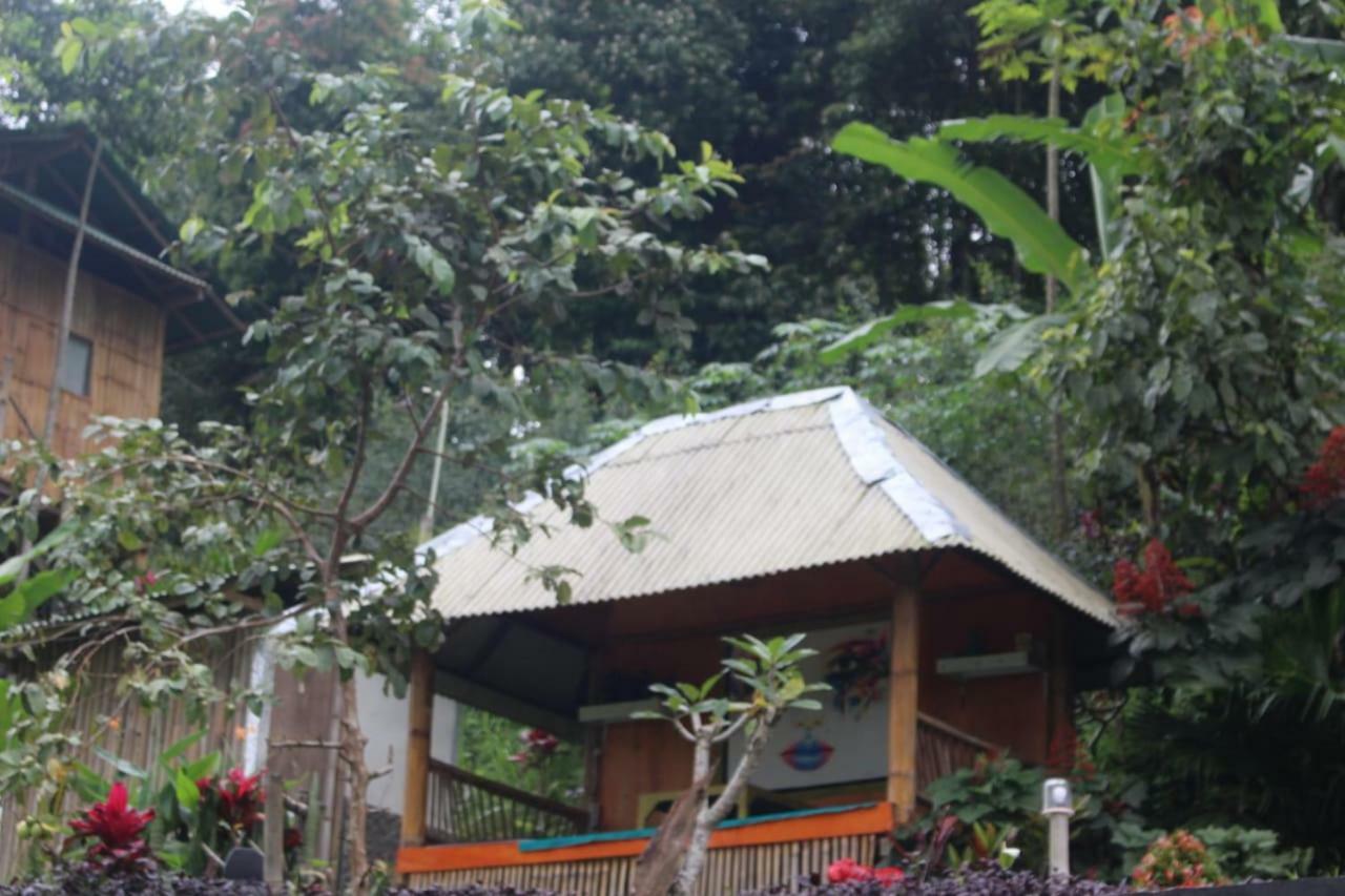 Bali Tree House Pelangi Apartamento Bedugul  Exterior foto