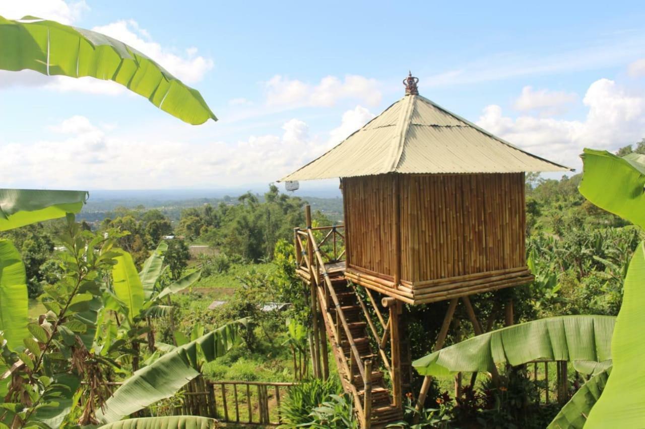 Bali Tree House Pelangi Apartamento Bedugul  Exterior foto