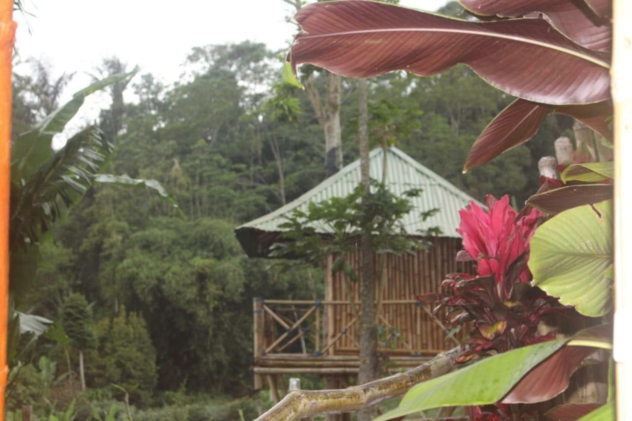 Bali Tree House Pelangi Apartamento Bedugul  Exterior foto