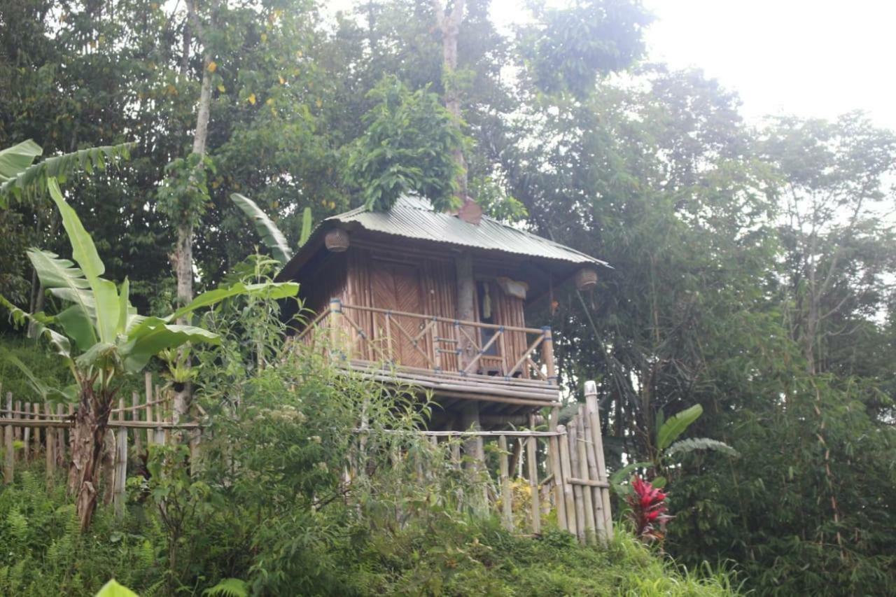 Bali Tree House Pelangi Apartamento Bedugul  Exterior foto