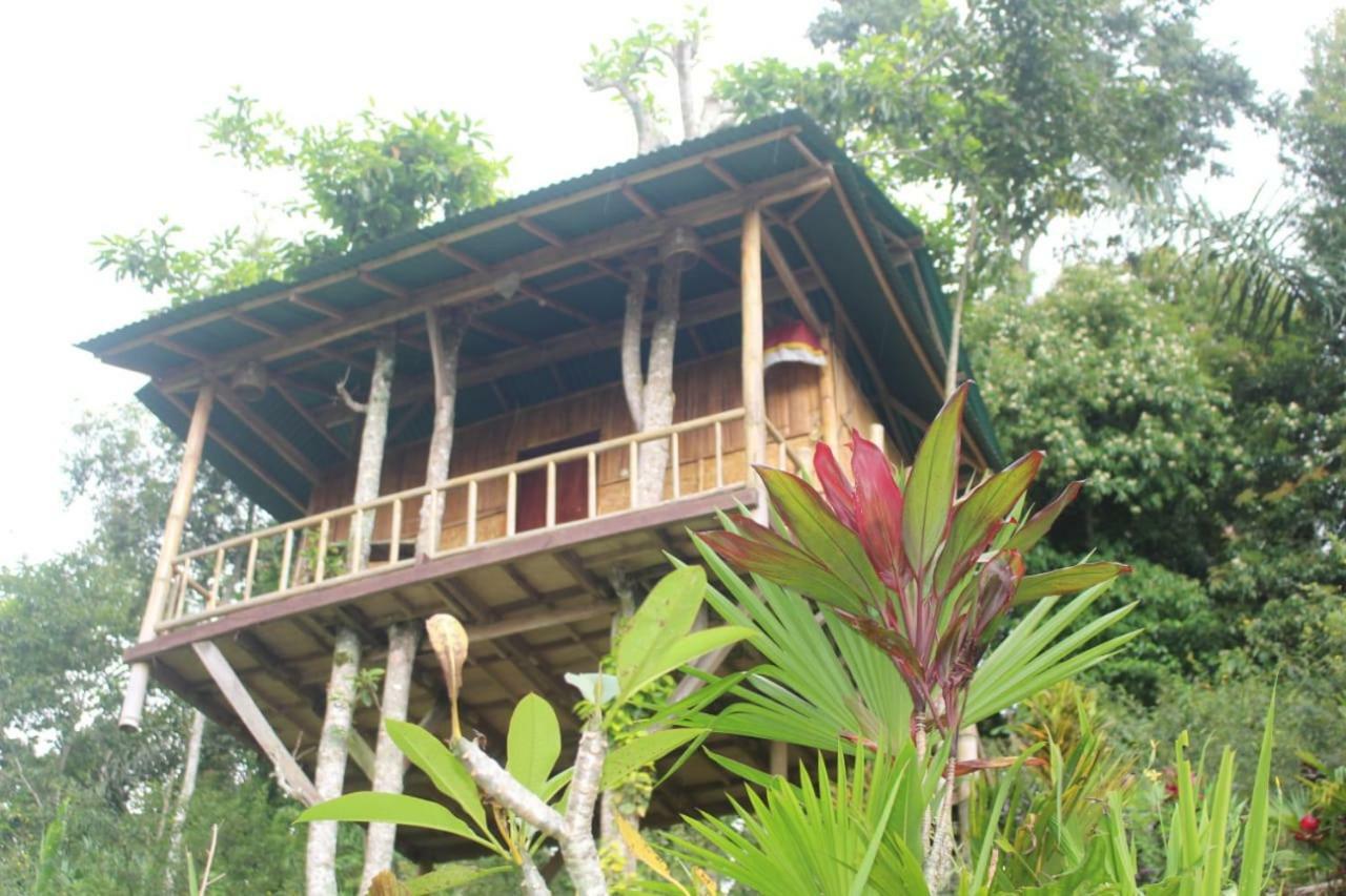 Bali Tree House Pelangi Apartamento Bedugul  Exterior foto