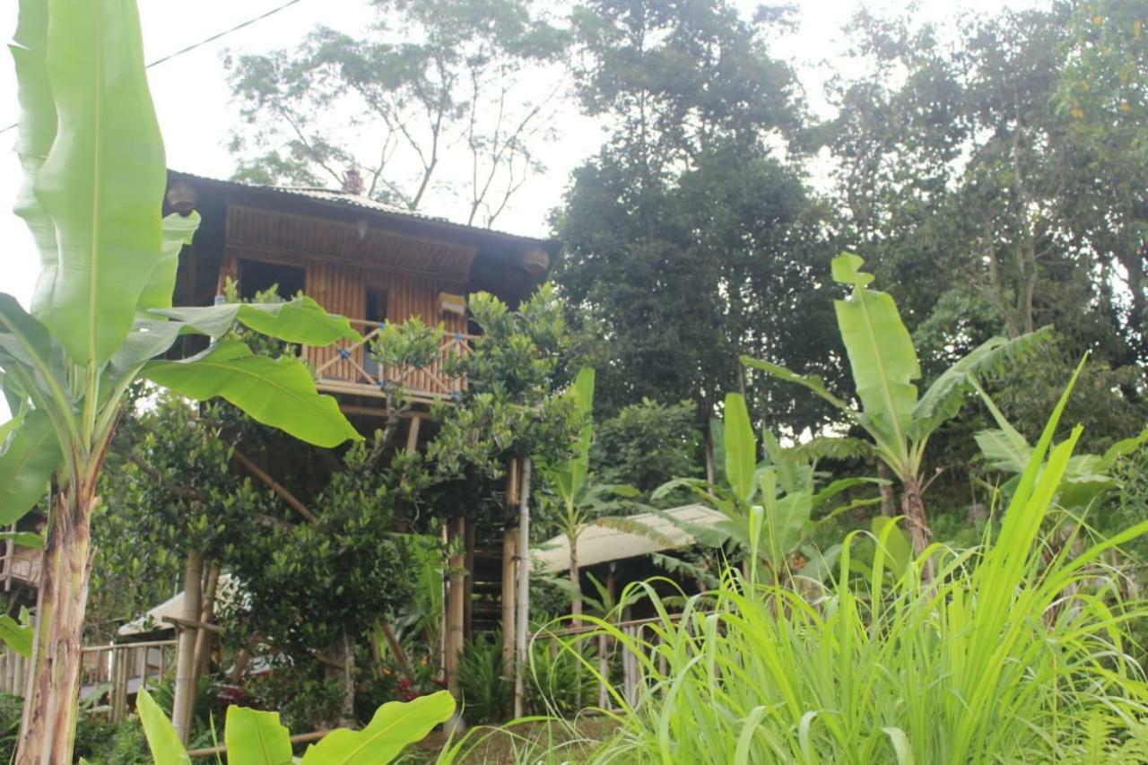 Bali Tree House Pelangi Apartamento Bedugul  Exterior foto