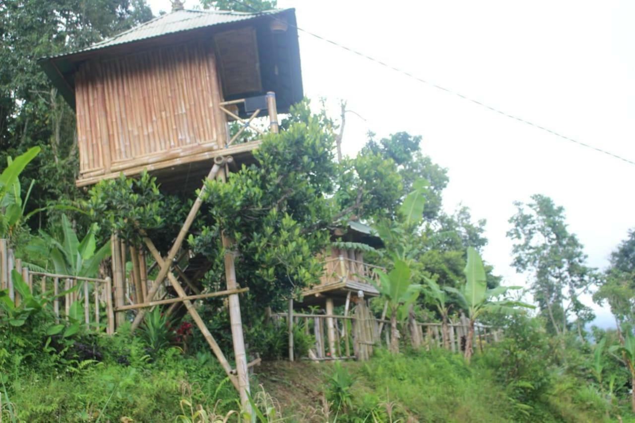 Bali Tree House Pelangi Apartamento Bedugul  Exterior foto