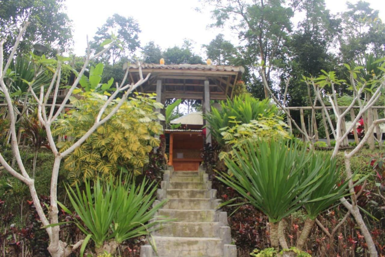 Bali Tree House Pelangi Apartamento Bedugul  Exterior foto