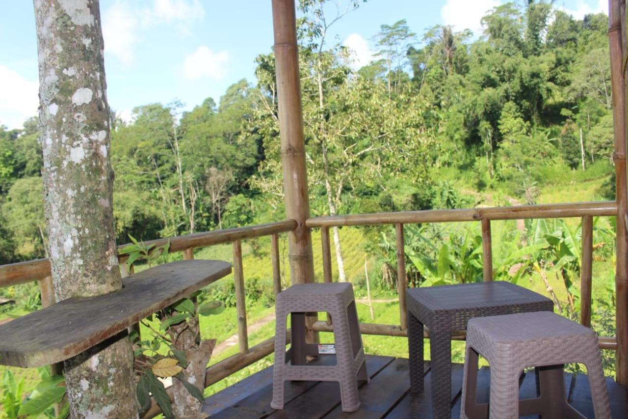 Bali Tree House Pelangi Apartamento Bedugul  Exterior foto