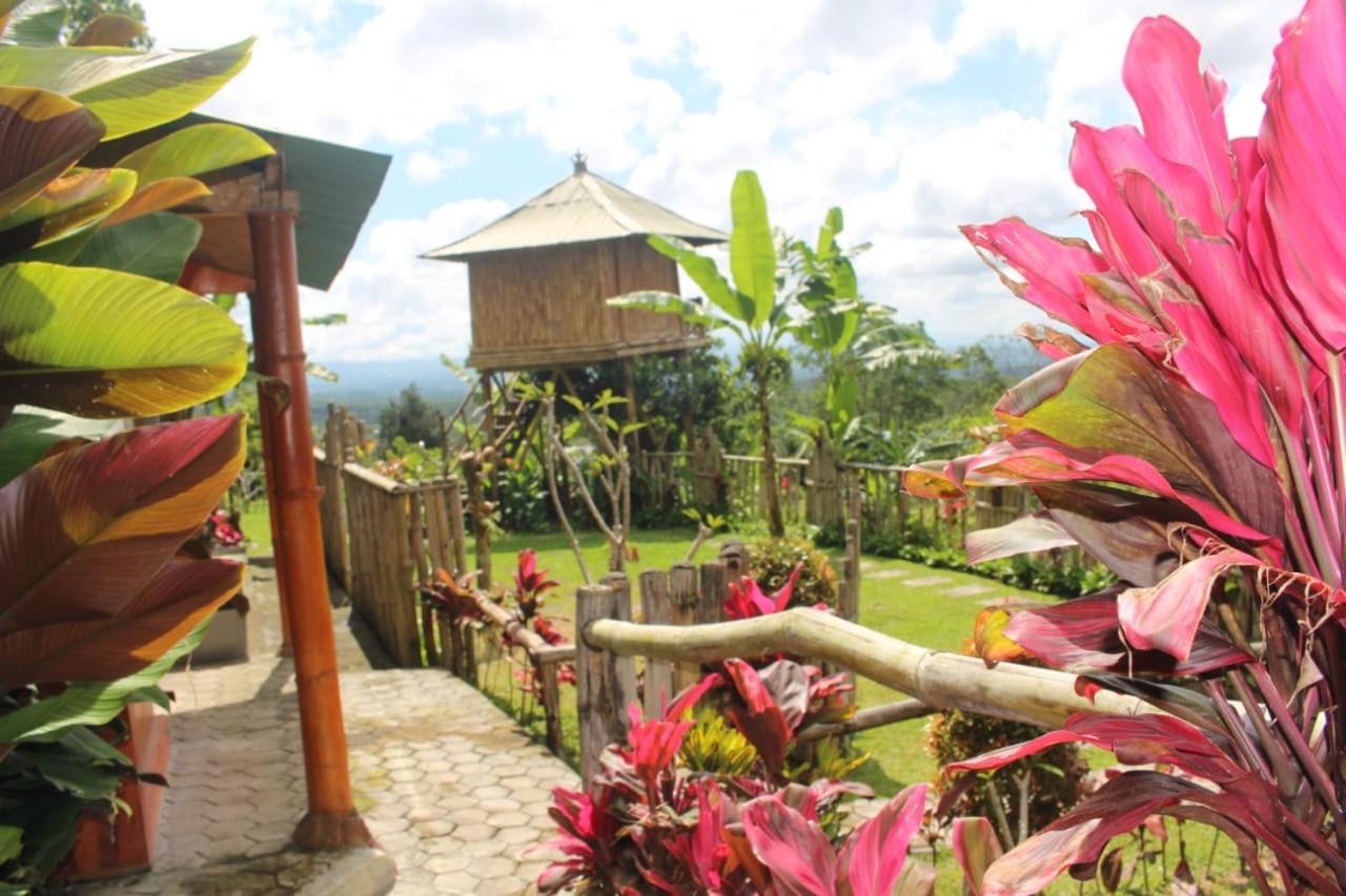 Bali Tree House Pelangi Apartamento Bedugul  Exterior foto