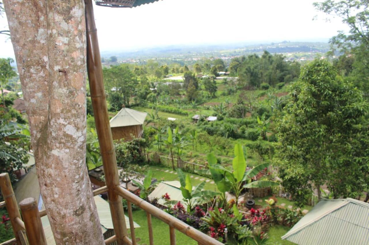 Bali Tree House Pelangi Apartamento Bedugul  Exterior foto