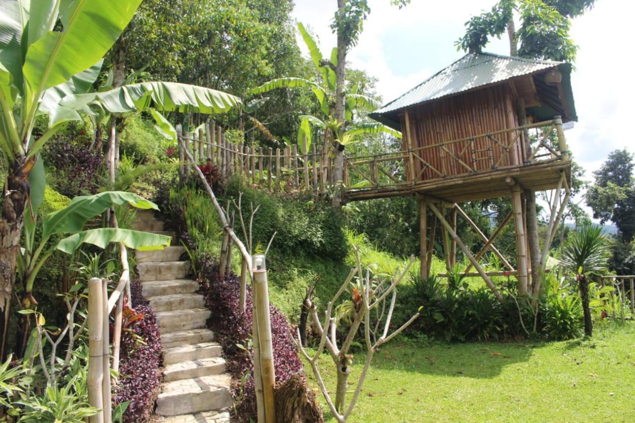 Bali Tree House Pelangi Apartamento Bedugul  Exterior foto