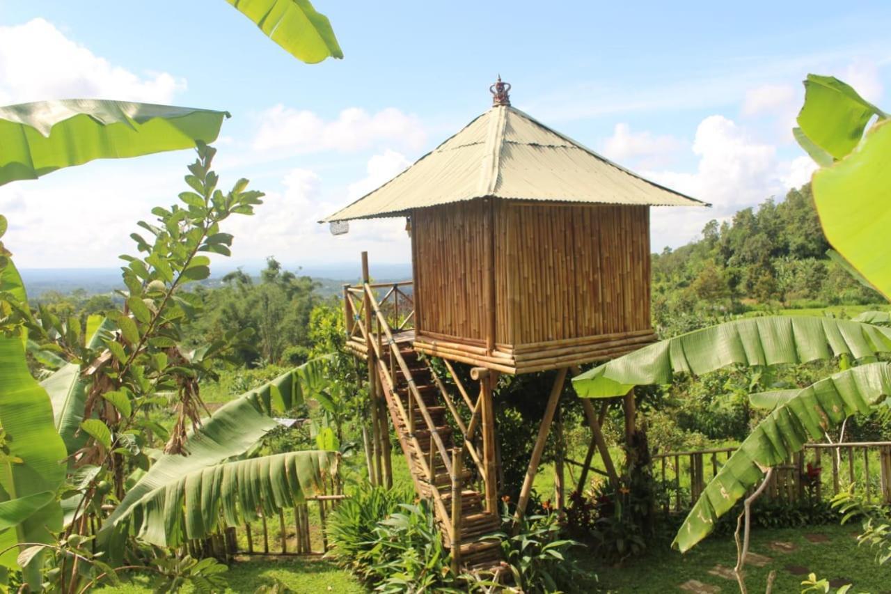 Bali Tree House Pelangi Apartamento Bedugul  Exterior foto