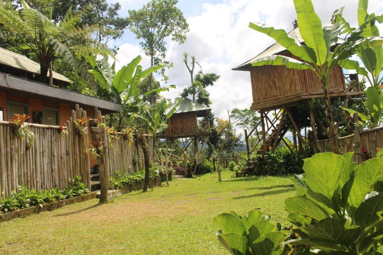 Bali Tree House Pelangi Apartamento Bedugul  Exterior foto