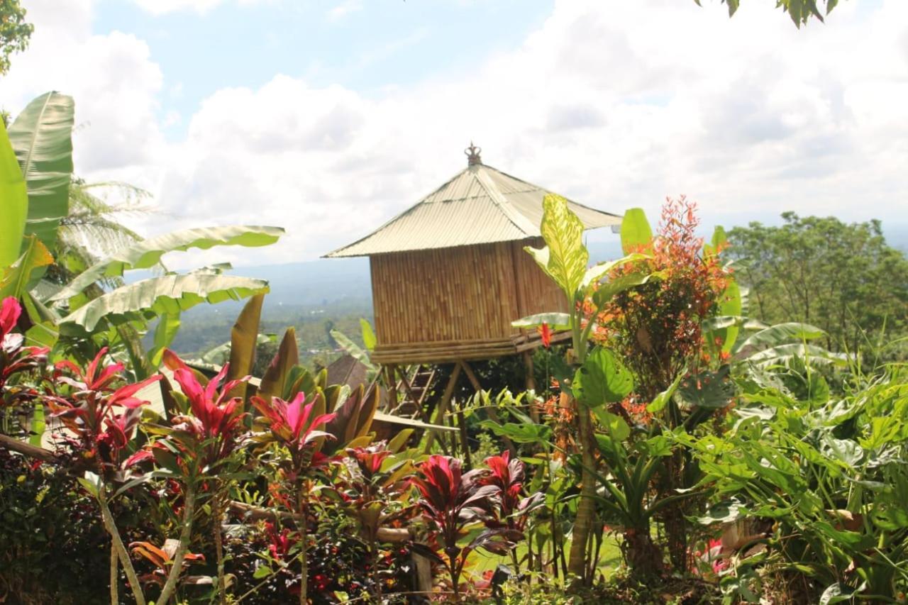 Bali Tree House Pelangi Apartamento Bedugul  Exterior foto