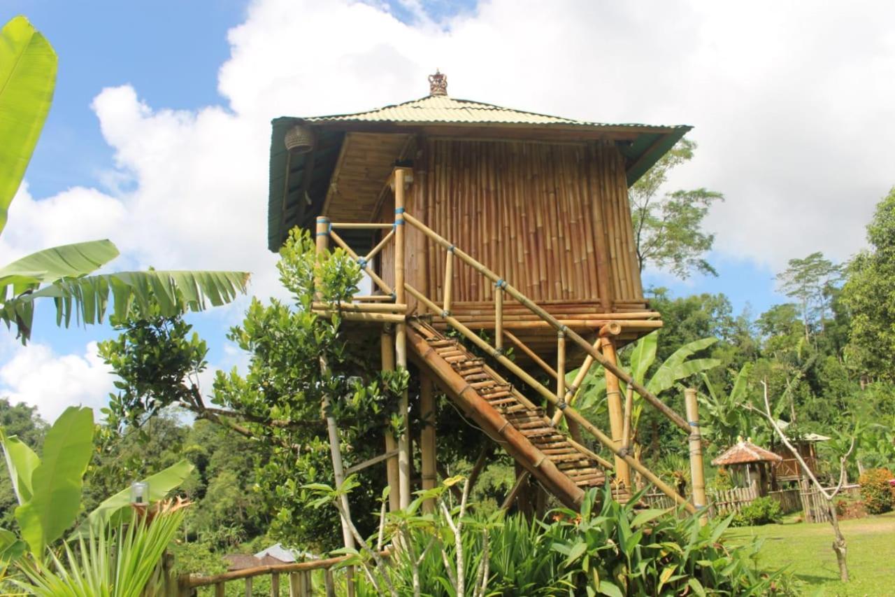 Bali Tree House Pelangi Apartamento Bedugul  Exterior foto