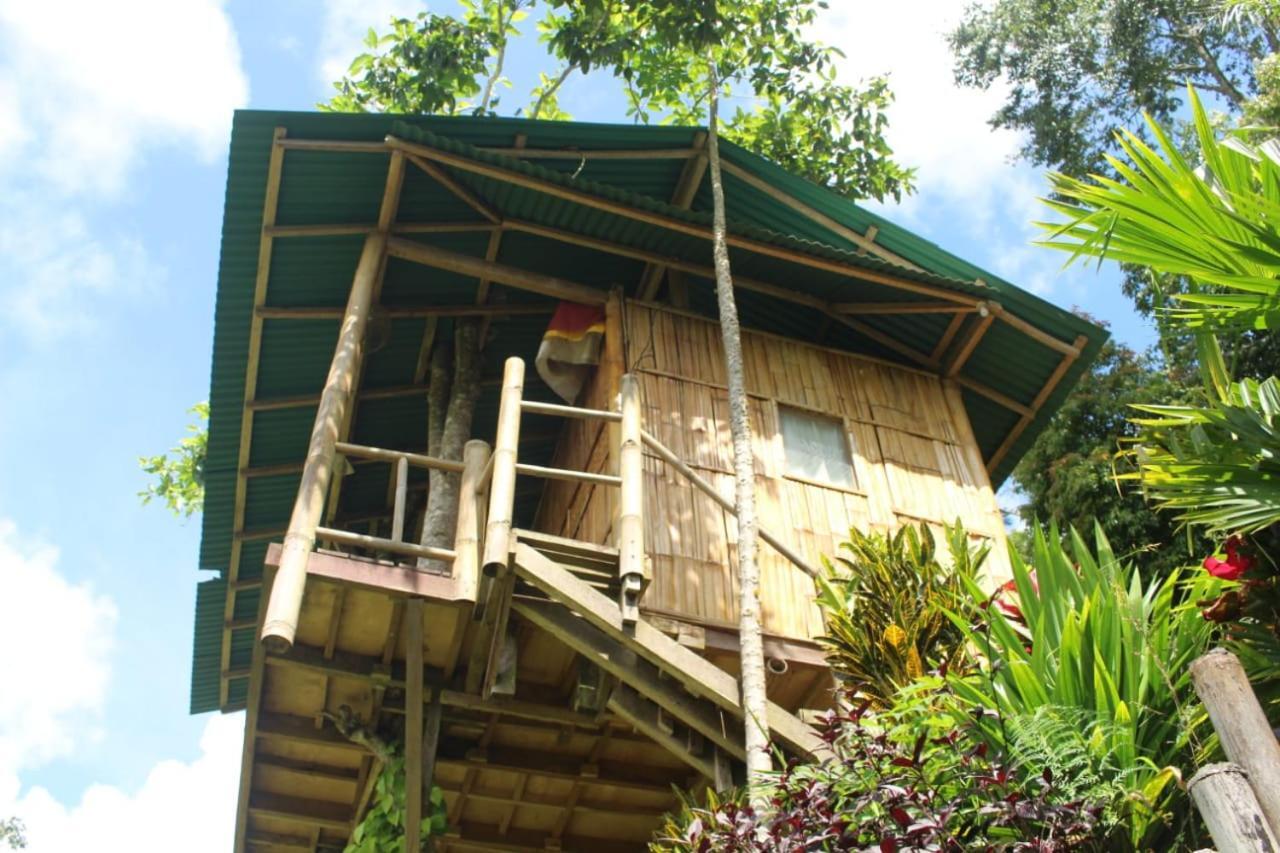 Bali Tree House Pelangi Apartamento Bedugul  Exterior foto