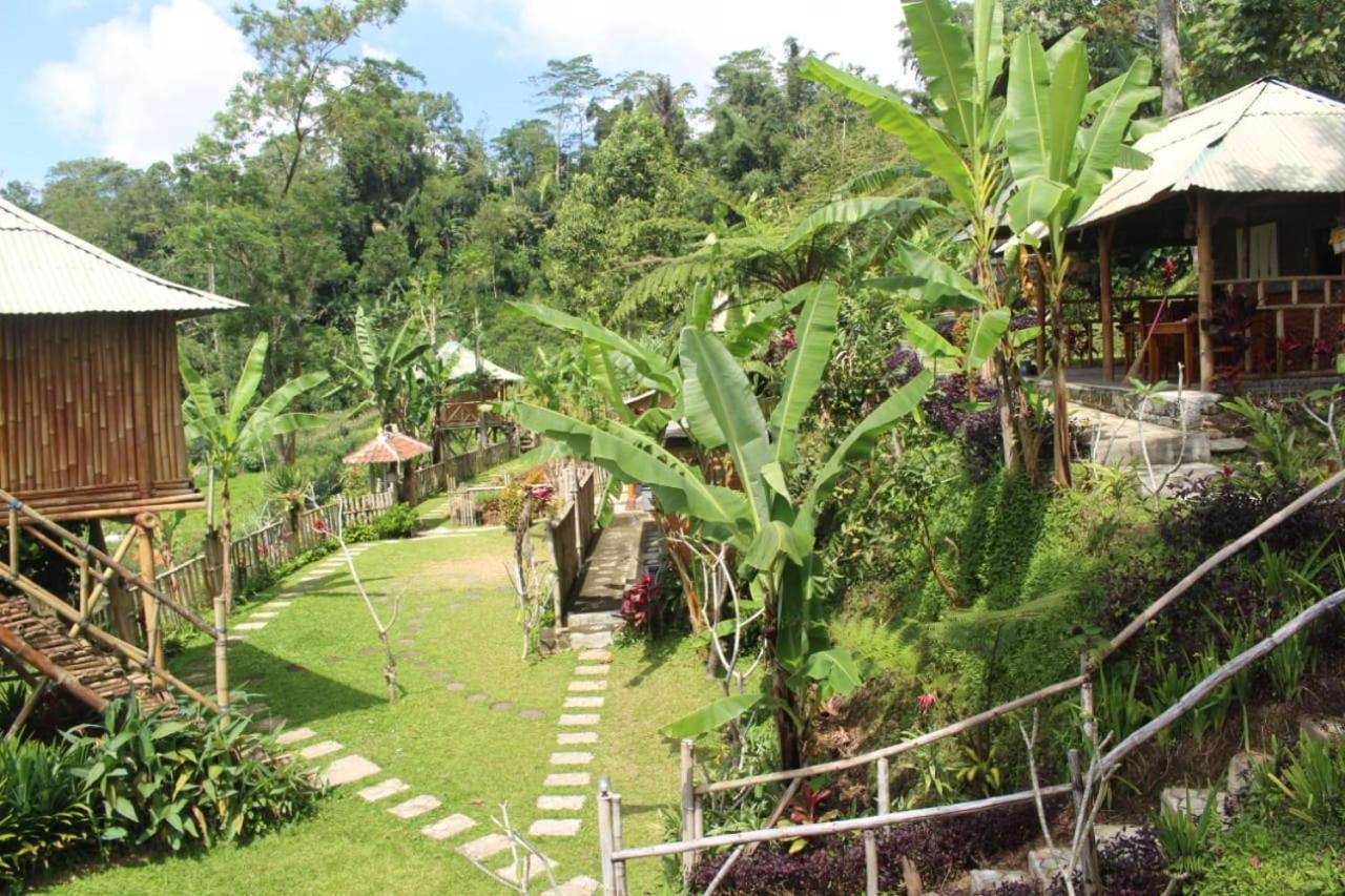 Bali Tree House Pelangi Apartamento Bedugul  Exterior foto