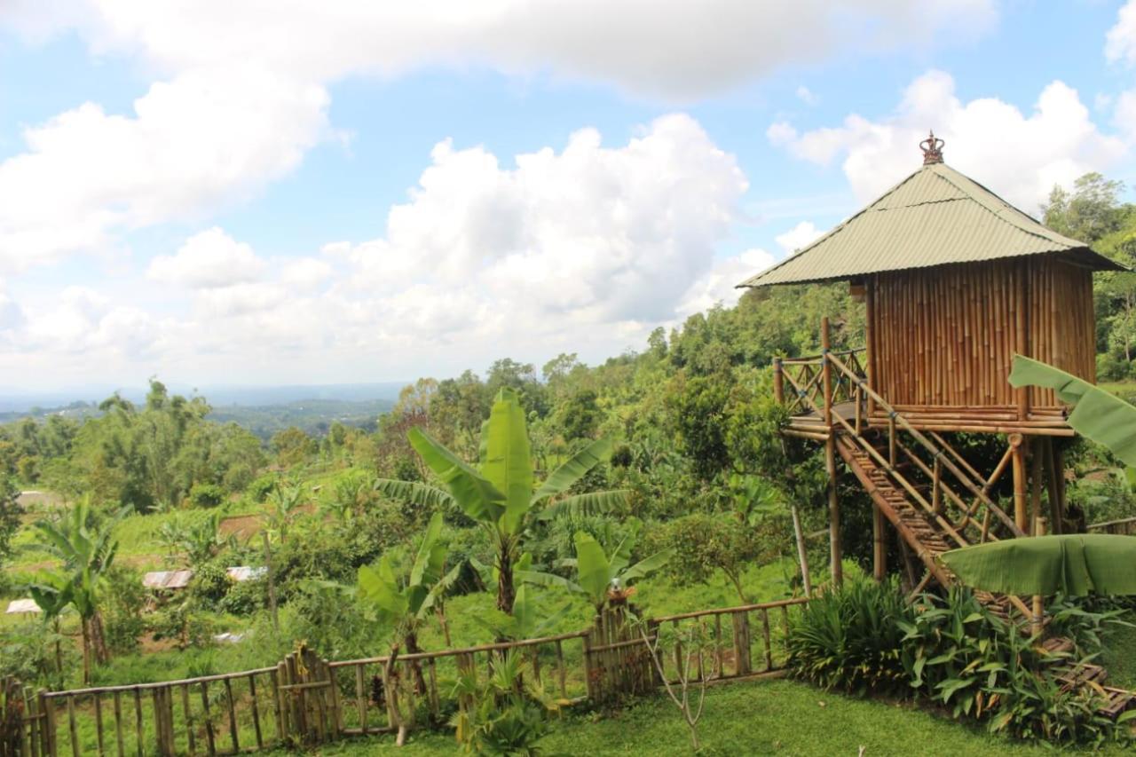 Bali Tree House Pelangi Apartamento Bedugul  Exterior foto