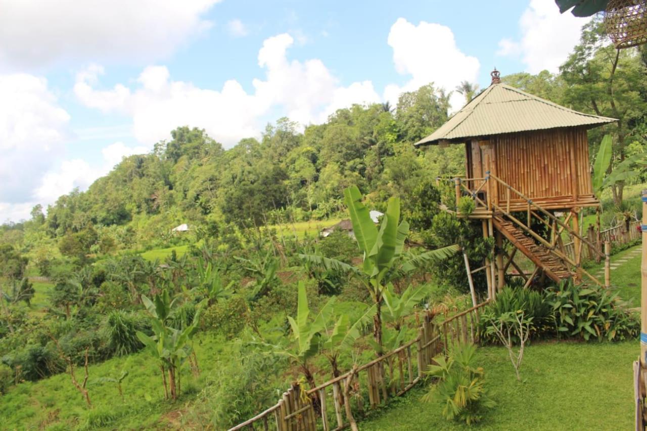 Bali Tree House Pelangi Apartamento Bedugul  Exterior foto