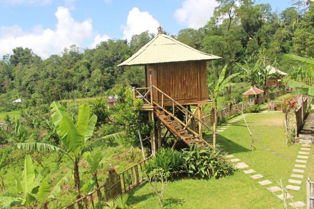 Bali Tree House Pelangi Apartamento Bedugul  Exterior foto
