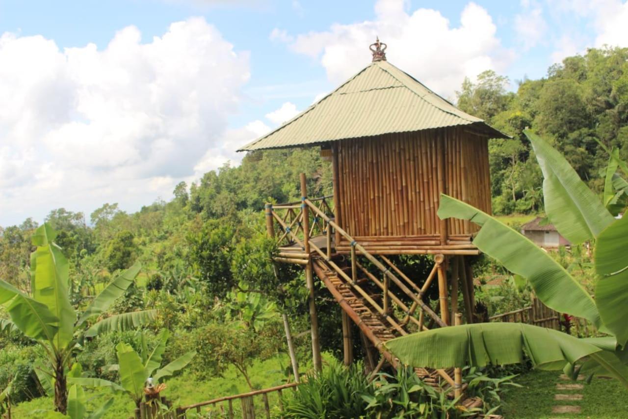 Bali Tree House Pelangi Apartamento Bedugul  Exterior foto