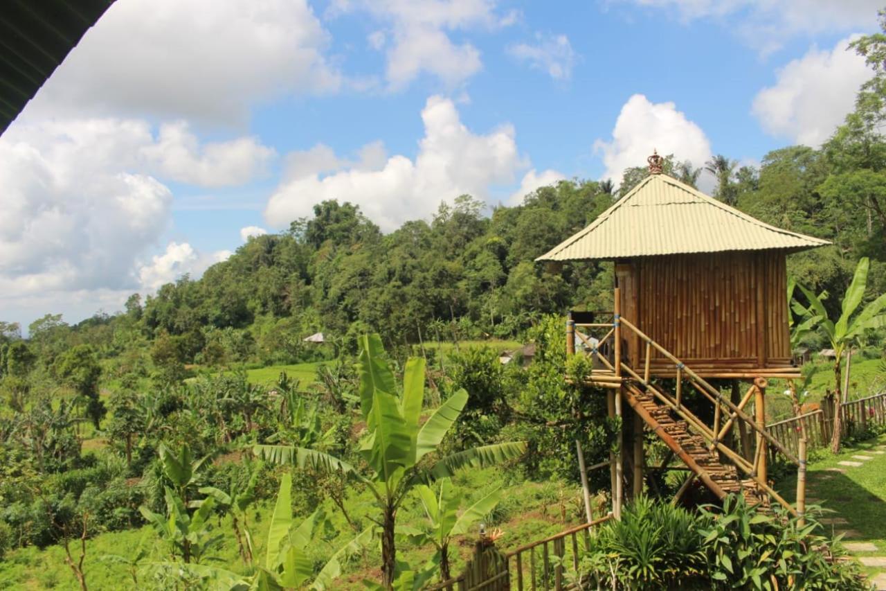 Bali Tree House Pelangi Apartamento Bedugul  Exterior foto